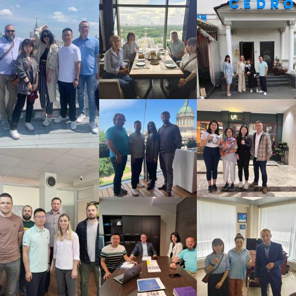 Genuine Quality Fuel Filter 600-311-9121 For Komatsu Replacement Parts