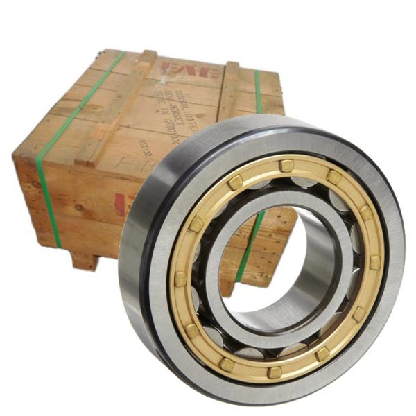 NSK NTN NJ256 Nup260 Stainless Steel Roller Bearings