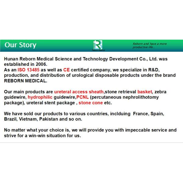 Hydrophilic Ureteroscopy Introducer Access Sheath With CE Certified