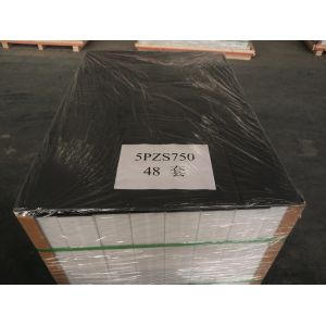 Screw Connection Electric Forklift Battery Replacement 198mm Width 5PzS750