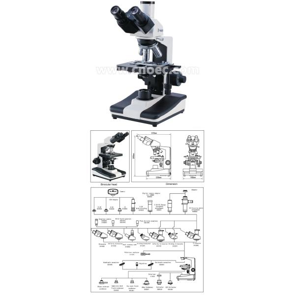 Educational Biological Microscope