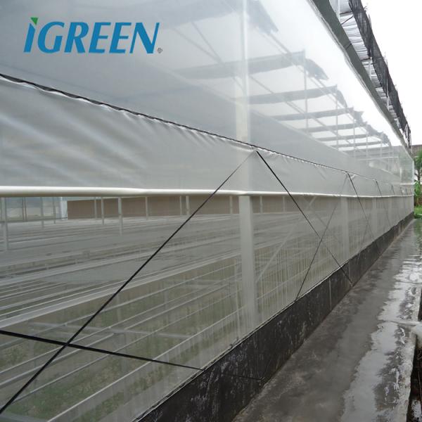 Multi-Span Agricultural Greenhouses Hot Climate Cover with 150/200micron Plastic Film