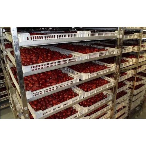 Processed Industrial Vegetable Drying Machine Equipment In Food Industry 380V