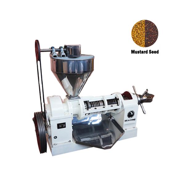 Cheap 15kw Oil Squeezer Machine , Soybean Oil Extruder Machine Convenient Clean for sale