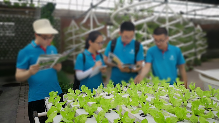 China Origin Double-Arch Hydroponic Greenhouse