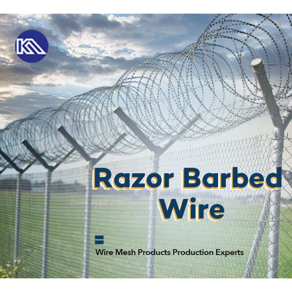 Hot Dipped Galvanized Or Stainless Steel 304 Anti Climb Concertina Razor Barbed Wire