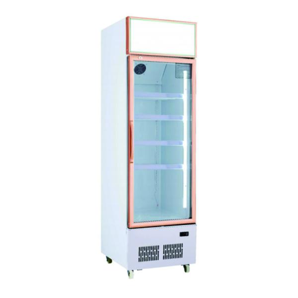 Single Door Store Refrigerator 220V Soda Drink Chiller Water Bottle Cooler LED Light Single-Temperature Cooling for Display