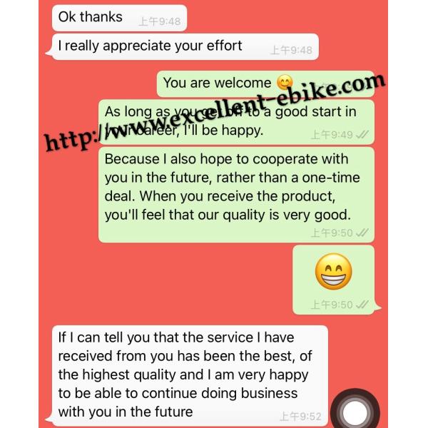 3 Wheel Electric Trike Mobility Scooter Bike Fat Tire Street Legal