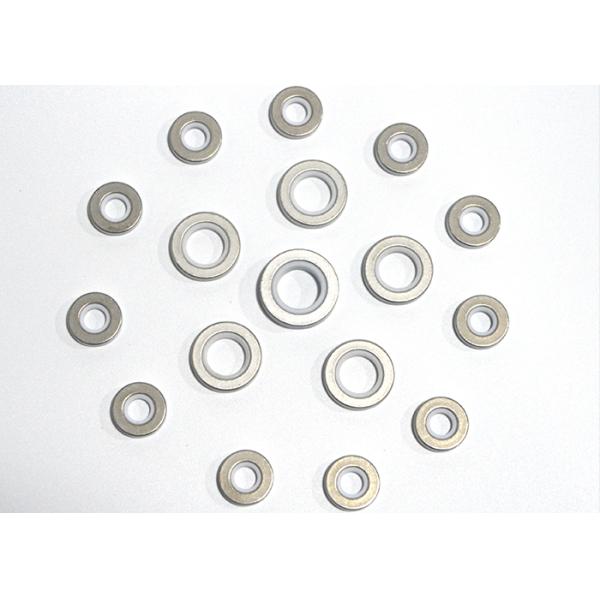 Metallization HPA 95% Alumina Ceramic Sealed Parts