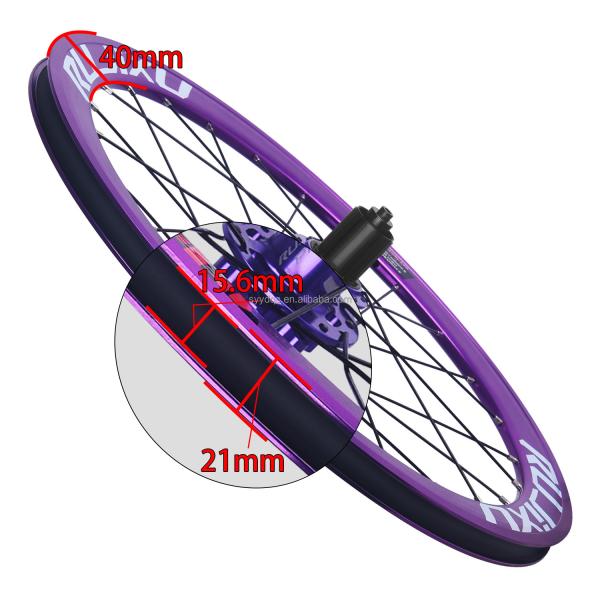 Purple 20 Inch Bike Wheelset Disc Brakes 20" 451 Wheelset 120 Rings Side Mounted Hub