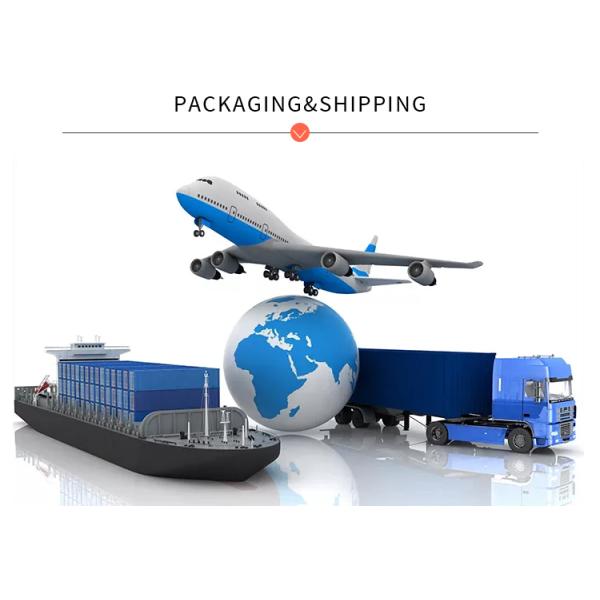 Nonwoven Waist Trainer Shaper Belly Shaping Plus Waist Trainer For Slim Ladies