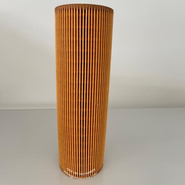 2022275 Lube Car Oil Filter Customized 1742032 1742037 2037556 2022275