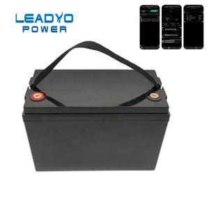 Quality 12V 100Ah Leadyo Battery RV Deep Cycle Lifepo4 Battery WIth Monitor APP wholesale
