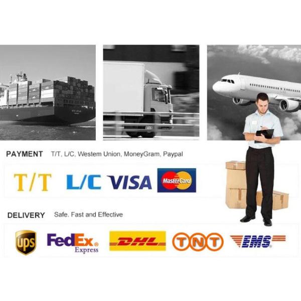 GYTS Steel Armored Fiber Optic Cable Loose Tube PE Sheath For Communication / LAN