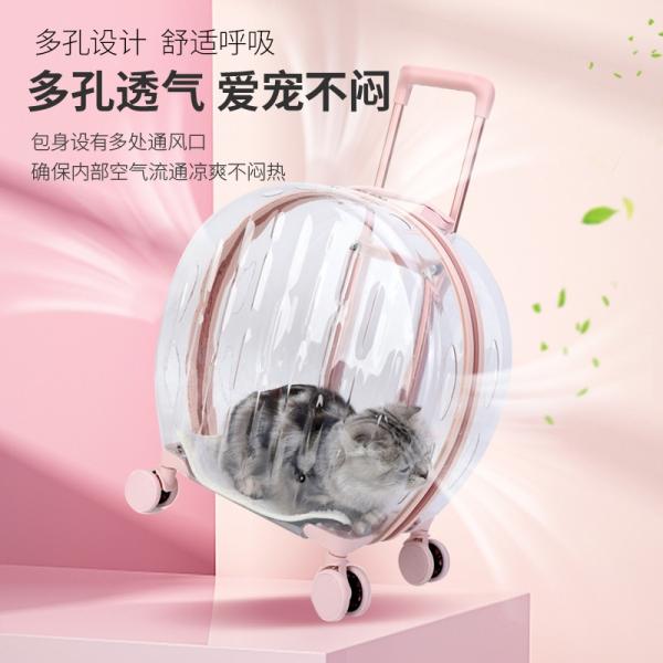 Anti-Theft Clear Pet Carrier Portable Pet Holder Waterproof Travel Suitcase Polyester Lining Material Breathable Pet Carry