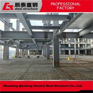 Industrial Steel Frame Multi Storey Buildings Customized Steel Apartment