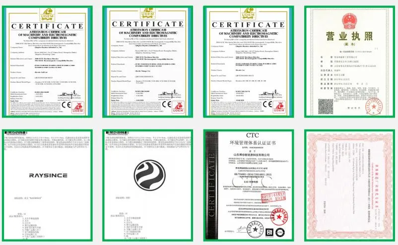 Raysince factory hot sales model 5 door electric car adult vehicle 4 Seats electric vehicles for sale