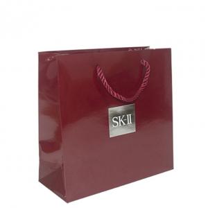 China Luxury Premium Middle Paper Gift Bags For Shopping Recycled Paper Bag on sale