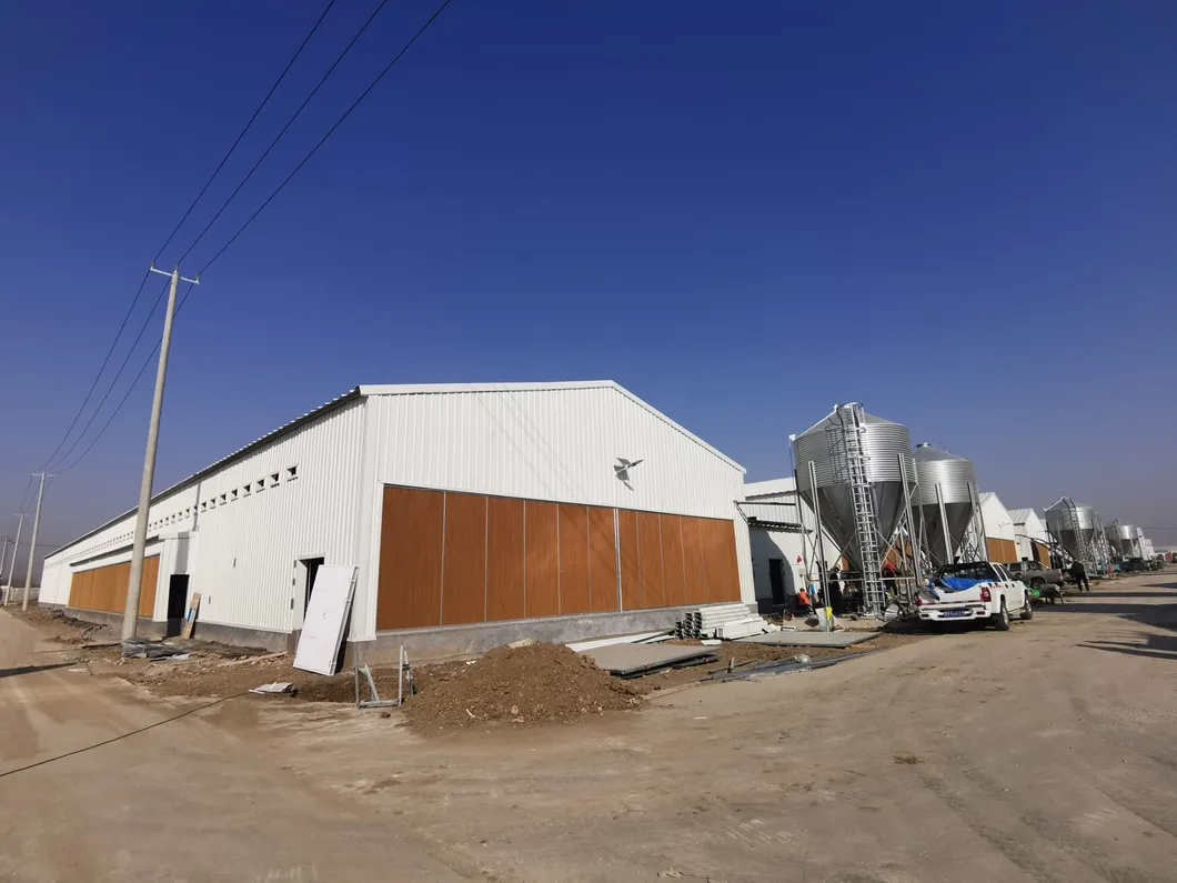Insulation Panel Prefab Steel Structure Metal Breeding Poultry Chicken House