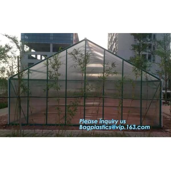 PE protective film customized green house for agriculture anti frost,Venlo Glass Agricultural Green house, SUPPLIES, PAC