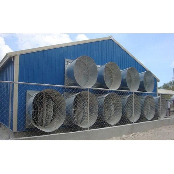 Broiler Poultry Prefab Houses Steel Structure Fully Automated Chicken Farming Equipment