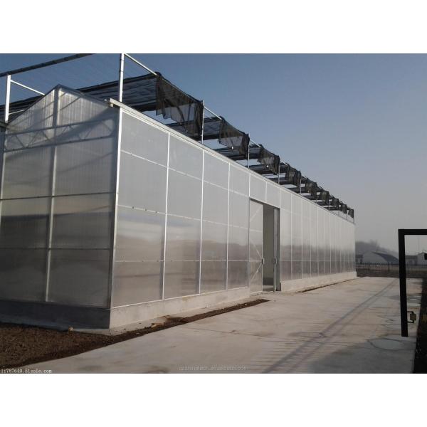 PC Plastic Polycarbonate Sheet Multi Span Hydroponic Greenhouse