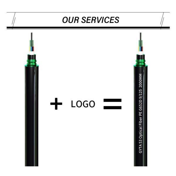 Single Mode 1-core GJYXCH/GJYXFCH Fiber Optic Cable for Outdoor FTTH Communication