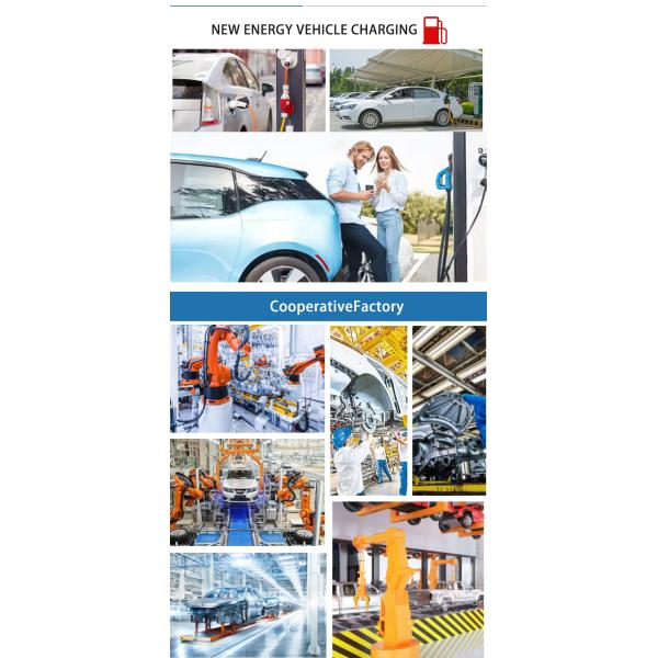 Contemporary Chinese New Energy Electric Vehicles 420KM Pure Byd Qin Plus