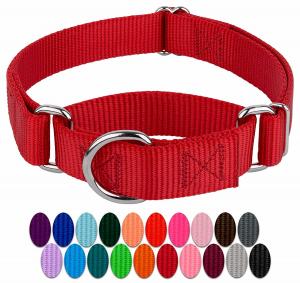 Quality Easy On Off Durable Nylon Buckle Dog Collars wholesale