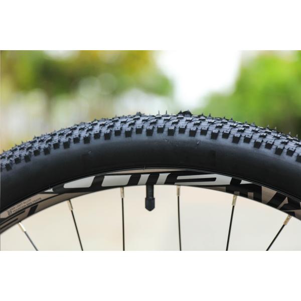 Teenager Christmas Gift 24 Speed Mountain Bike with Titanium Frame and Durable Design