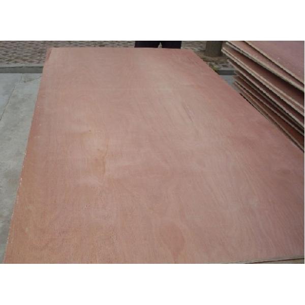 China commercial plywood funiture material, Bintangor/okoume/keruing/poplar/birch commercial plywood