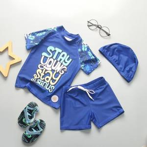 Quality Carton Picture Boys Swimwear Sets Nylon Split Boys Swimming Suit With Hat UPF50++ wholesale