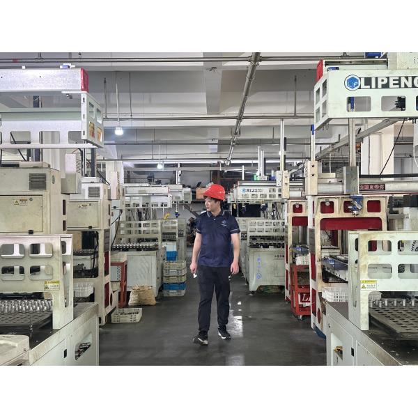 304 316 3PC Butt Welding Ball Valve Stainless Steel