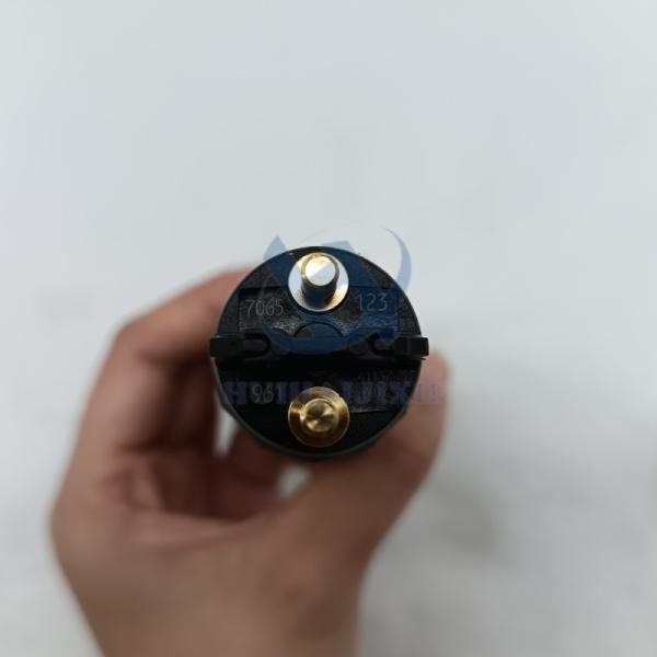 Common Rail Fuel Injectors 0445120123 for Bosch Cummins Diesel Nozzle Injector