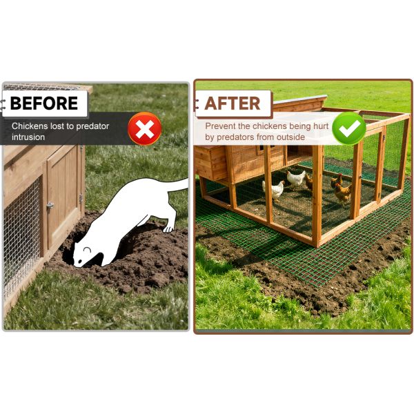 Chicken Wire Bottom Predators Resistant