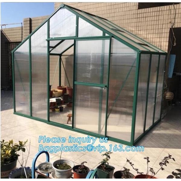 PE protective film customized green house for agriculture anti frost,Venlo Glass Agricultural Green house, SUPPLIES, PAC
