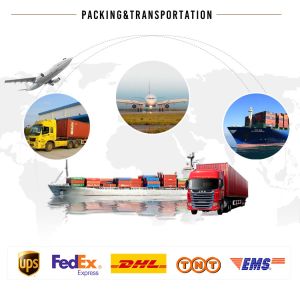 60KG Ice Storage Capacity Production Line Cube Ice Maker Machine for Building