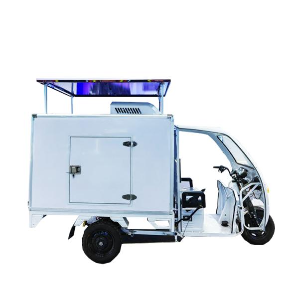 Full Electric Solar Refrigerated E Trike Cargo Van 60V 58AH OEM