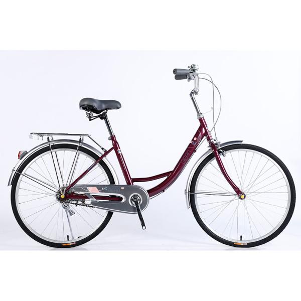 Custom Steel Frame Street Urban City Bike 26 For Women And Men In European Market