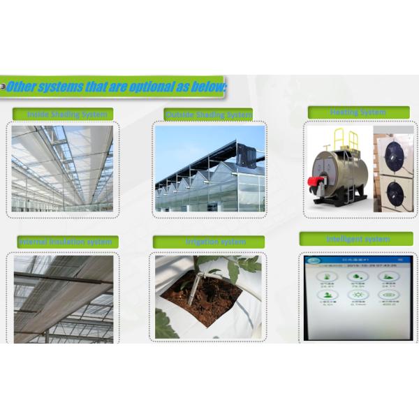 Industrial Polycarbonate Greenhouse for Herb Cultivation