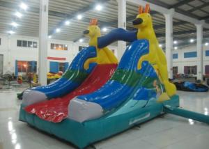 China Big Party Water Slide Bounce House , Outdoor Games Water Park Little Tikes Water Slide on sale