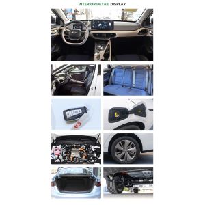 Geely Geometry A C2023 100% Electric Sedans 5 SEATS 53Kwh