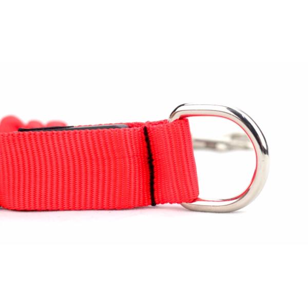 Led Safety Flashlight Pet Leashes Connect With Retractable Dog Leash