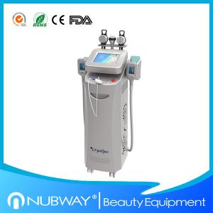Quality 2014 Best cryolipolysis for beauty salon use / cryolipolysis fat freeze device wholesale