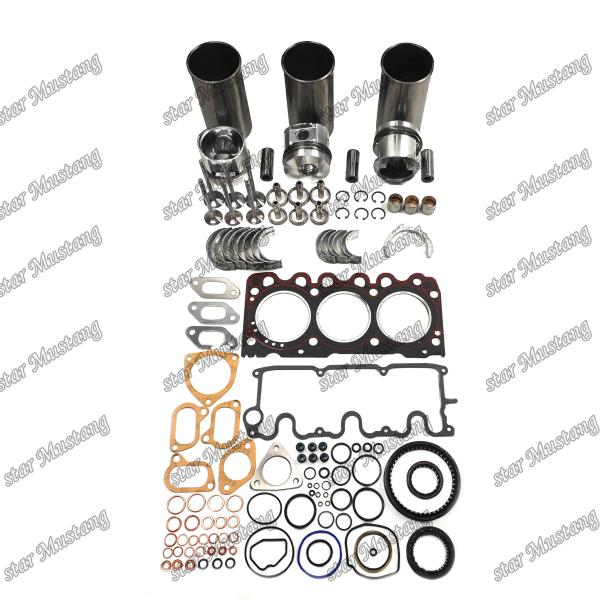 Rebulid Kit F3L1011