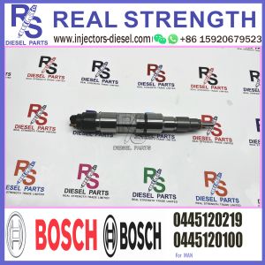 MAN BOSCH Diesel Injector 0445120219 0445120100 0445120275 51101006127