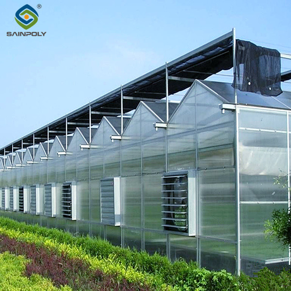 Multi Span Venlo Greenhouse Agricultural Polycarbonate Green House