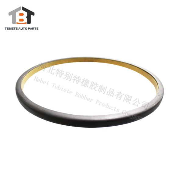 3953200067 Mercedes BENZ Axle Stub Seal Ring Blance Shaft Oil Seal 200x218x10