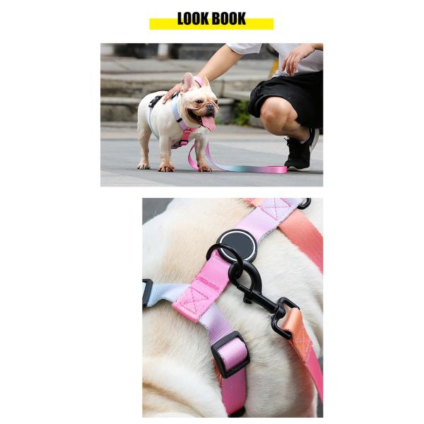 Gradient Waterproof Harness Collar Leash Set Blue Pink Purple Puppy Collar And Lead Set