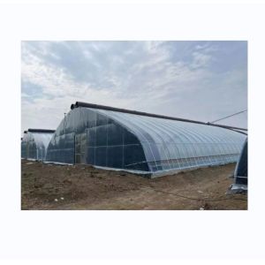 Quality PE Single Layer Solar Tunnel Agricultural Greenhouse 4-6M Height wholesale